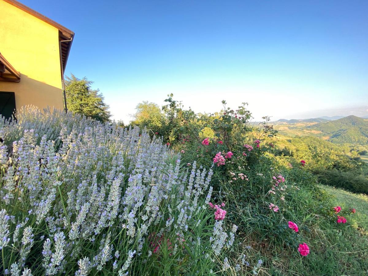 Case Crovina Salsomaggiore Terme Exterior photo